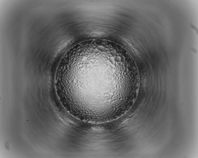 X0000091310591200708171417