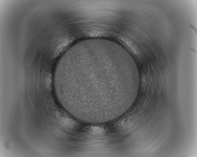 X0000091310592200708171417