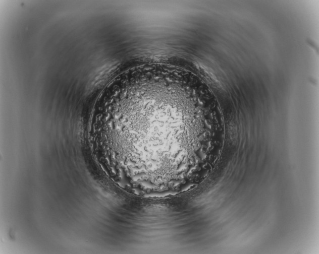 X0000091310594200708171417