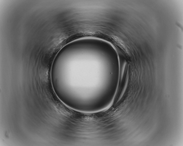 X0000091310596200708171417