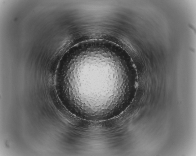 X0000091310598200708171417