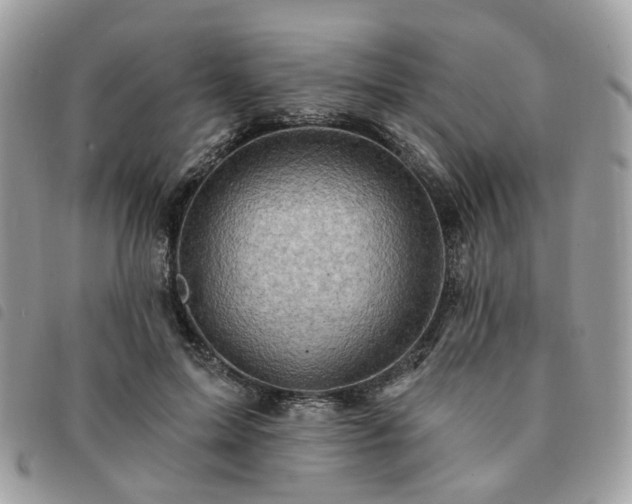 X0000091310599200708171417