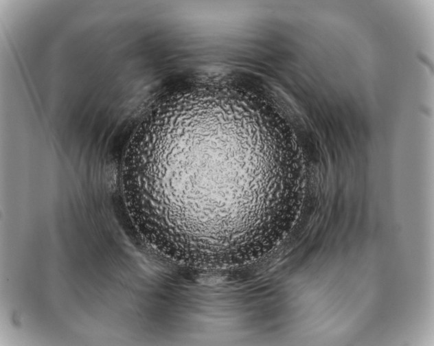 X0000091310602200708171417