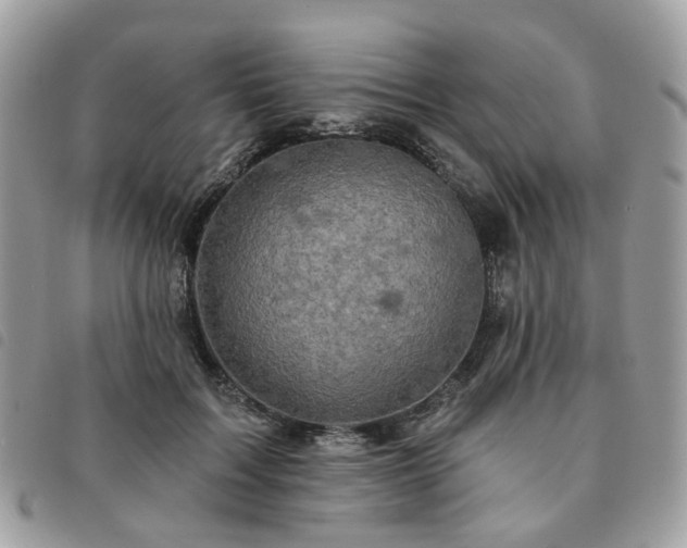 X0000091310603200708171417