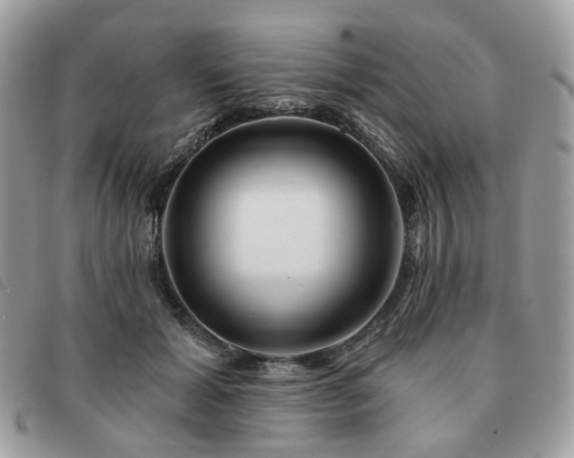 X0000091310605200708171417