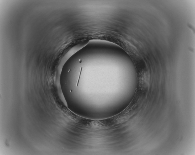 X0000091310608200708171417