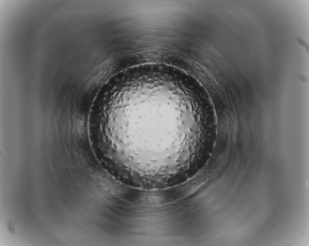 X0000091310610200708171417