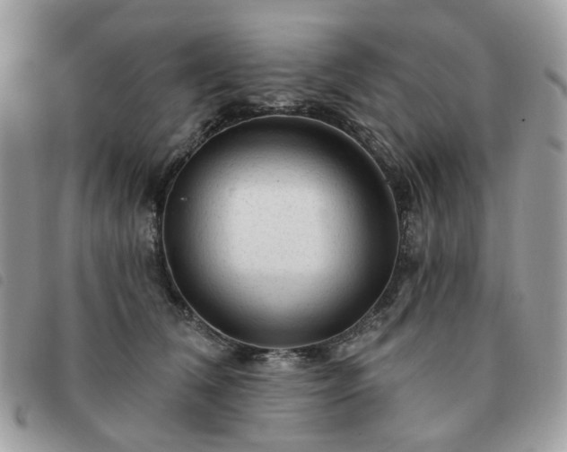 X0000091310612200708171417