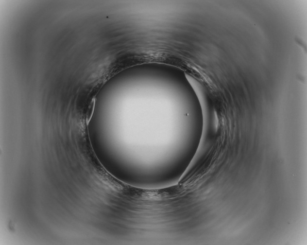 X0000091310613200708171417