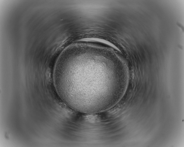 X0000091310615200708171417