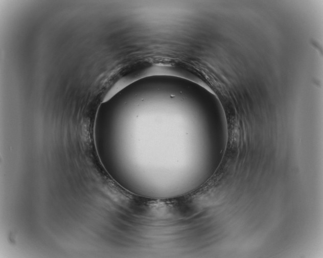 X0000091310616200708171417