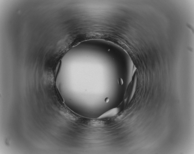 X0000091310617200708171417