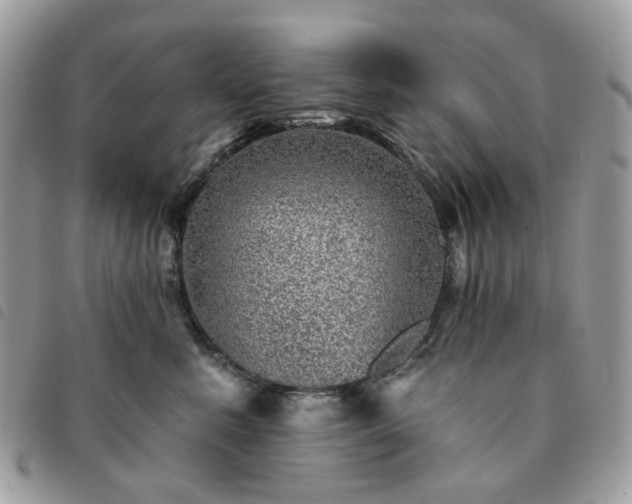 X0000091310619200708171417