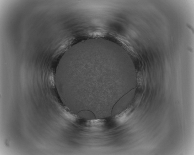 X0000091310622200708171417