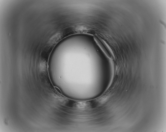 X0000091310623200708171417