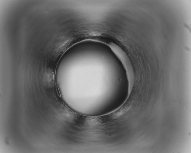 X0000091310624200708171417