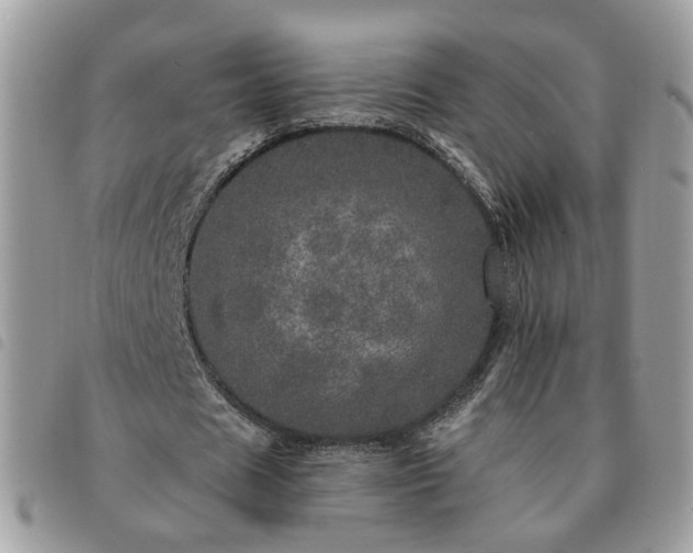 X0000091310625200708171416