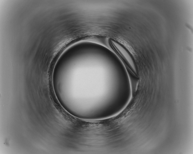 X0000091310626200708171416