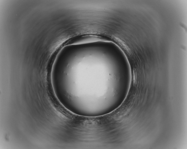 X0000091310627200708171416