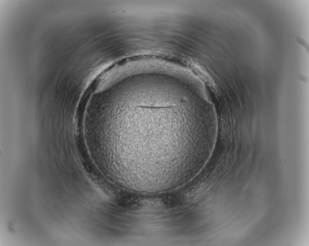 X0000091310628200708171416