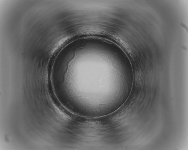 X0000091310629200708171416