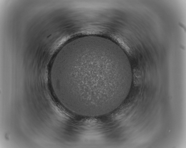 X0000091310631200708171416