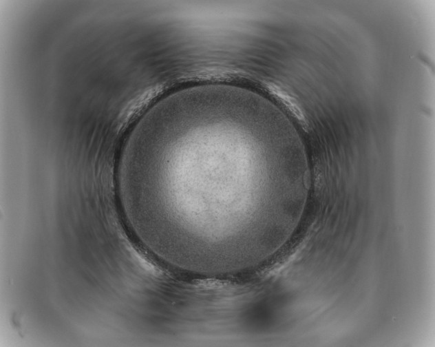 X0000091310633200708171416