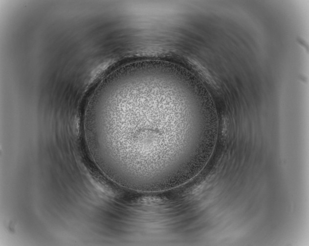 X0000091310636200708171416