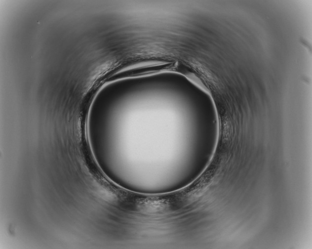 X0000091310638200708171416