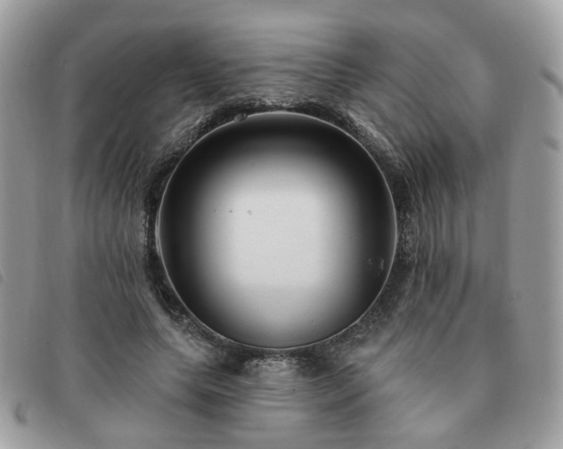 X0000091310639200708171416