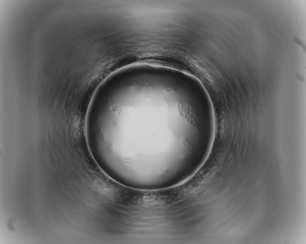 X0000091310641200708171416