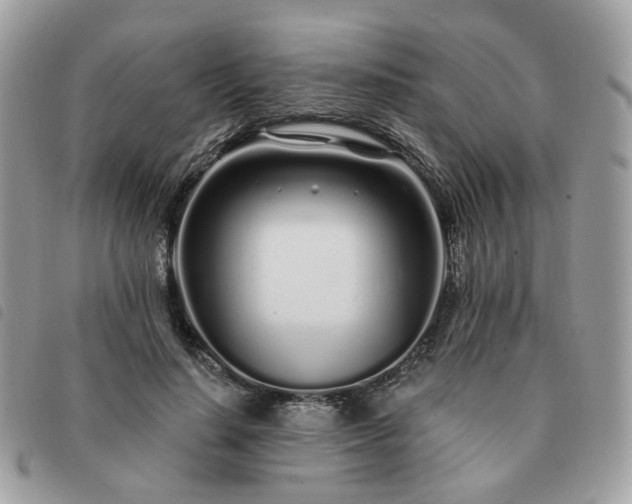 X0000091310644200708171416