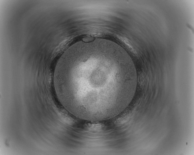 X0000091310645200708171417