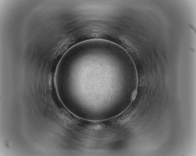 X0000091310646200708171417