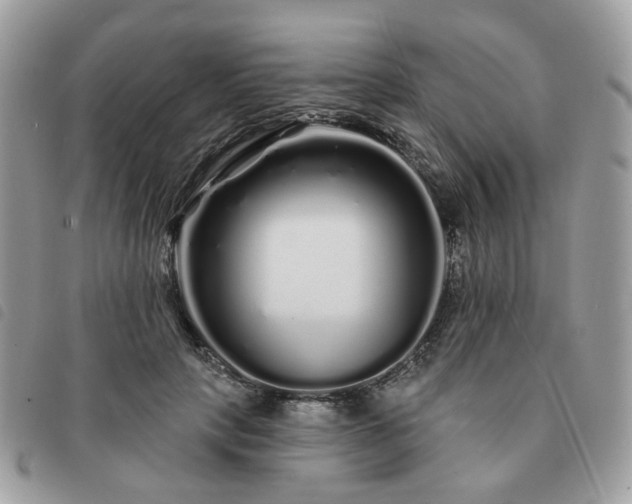 X0000091310649200708171417