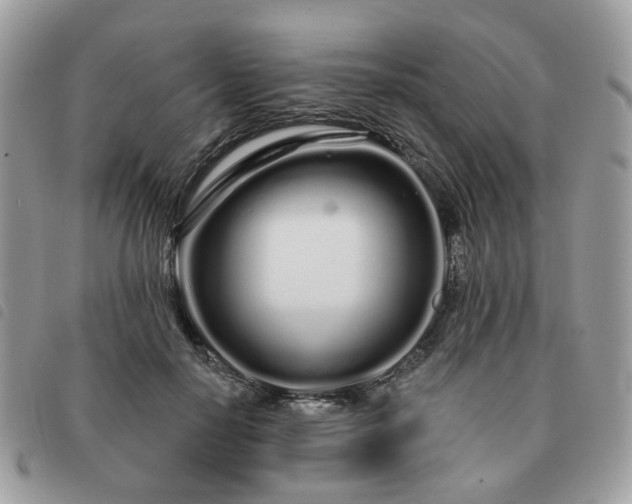 X0000091310650200708171417