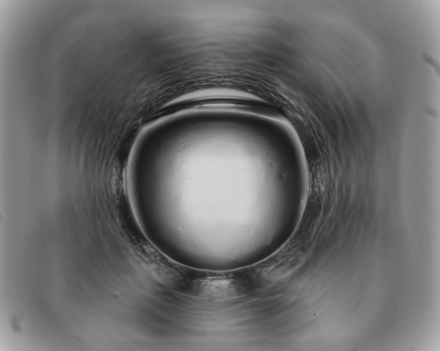 X0000091310651200708171417