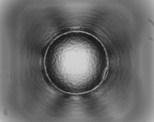 X0000091310654200708171417