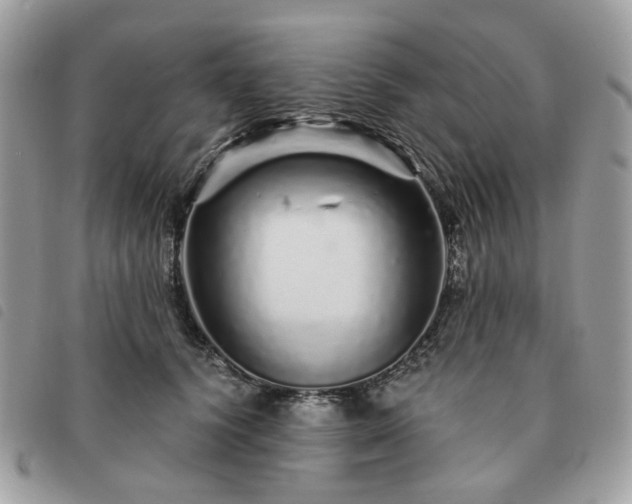 X0000091310656200708171417