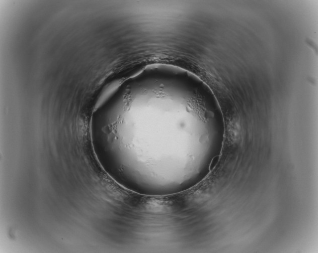 X0000091310657200708171417