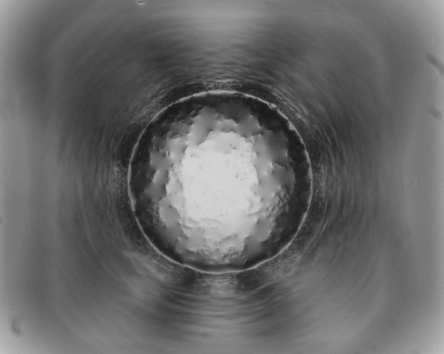 X0000091310659200708171417