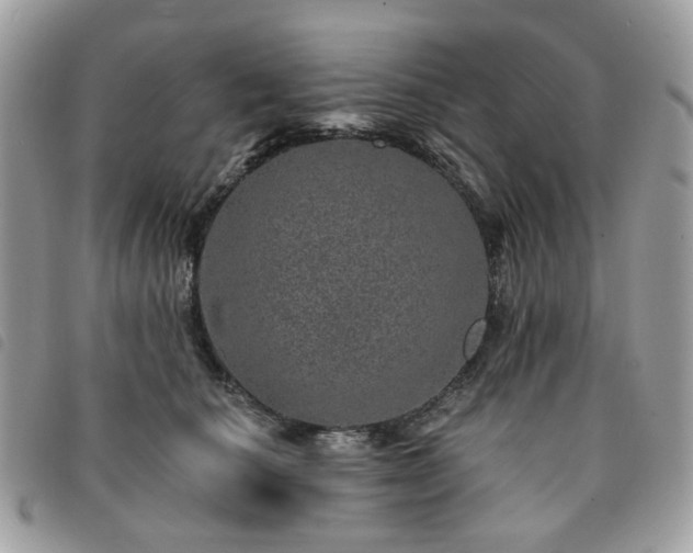 X0000091310660200708171417