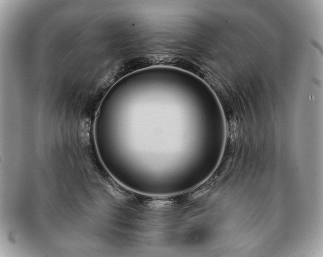 X0000091310664200708171417