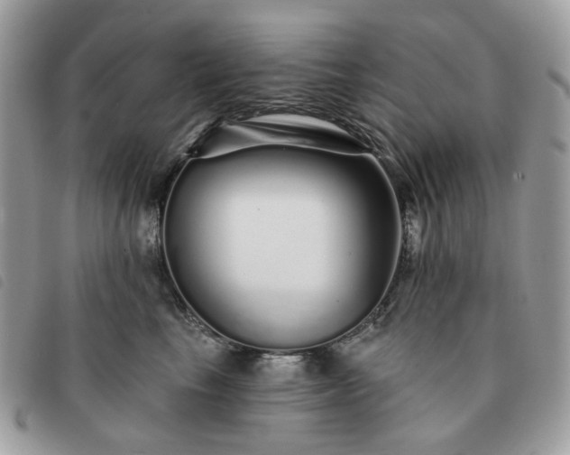 X0000091310665200708171417