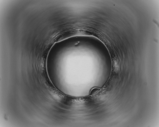 X0000091310668200708171417