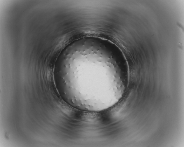 X0000091310671200708171417