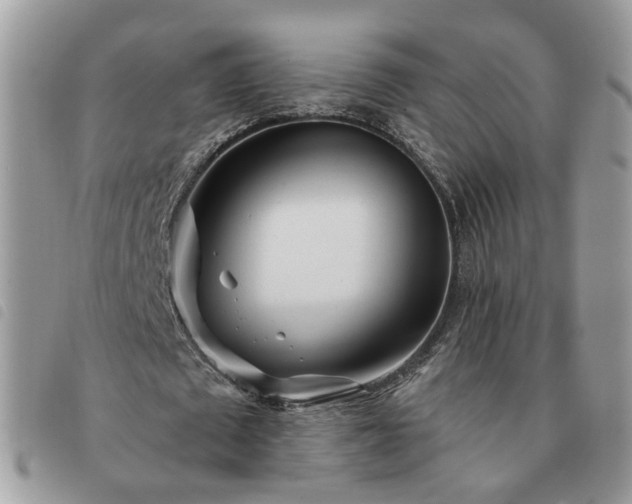 X0000091310673200708171416