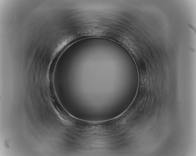 X0000091310674200708171416