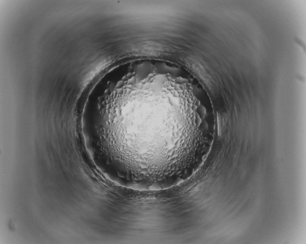 X0000091310675200708171416