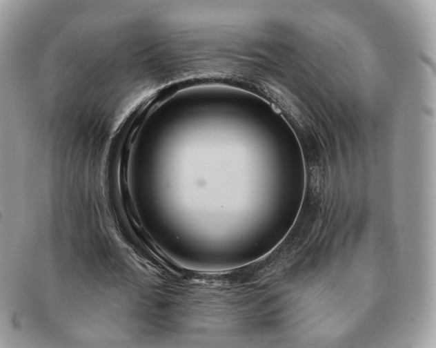 X0000091310676200708171416